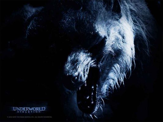 normal_underworld-evolution-02.jpg
